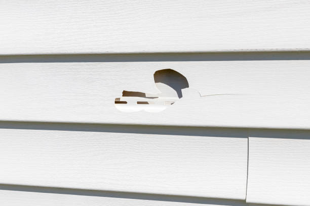 ### Storm Damage Siding Repair